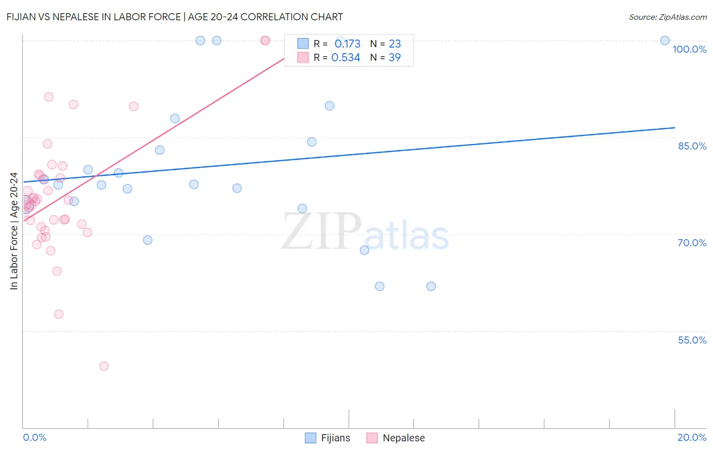 Fijian vs Nepalese In Labor Force | Age 20-24