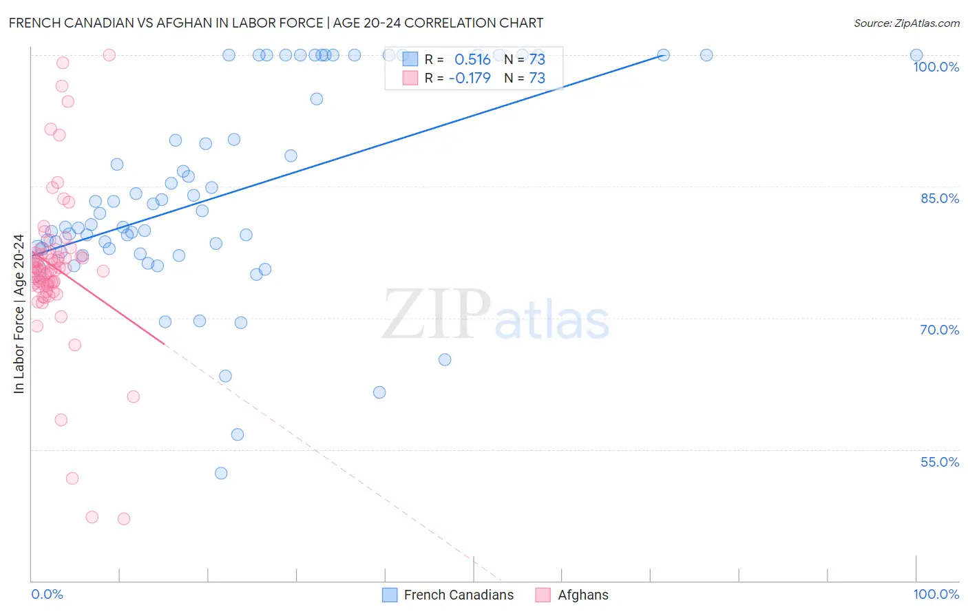 French Canadian vs Afghan In Labor Force | Age 20-24