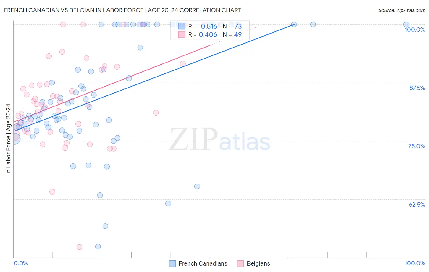 French Canadian vs Belgian In Labor Force | Age 20-24
