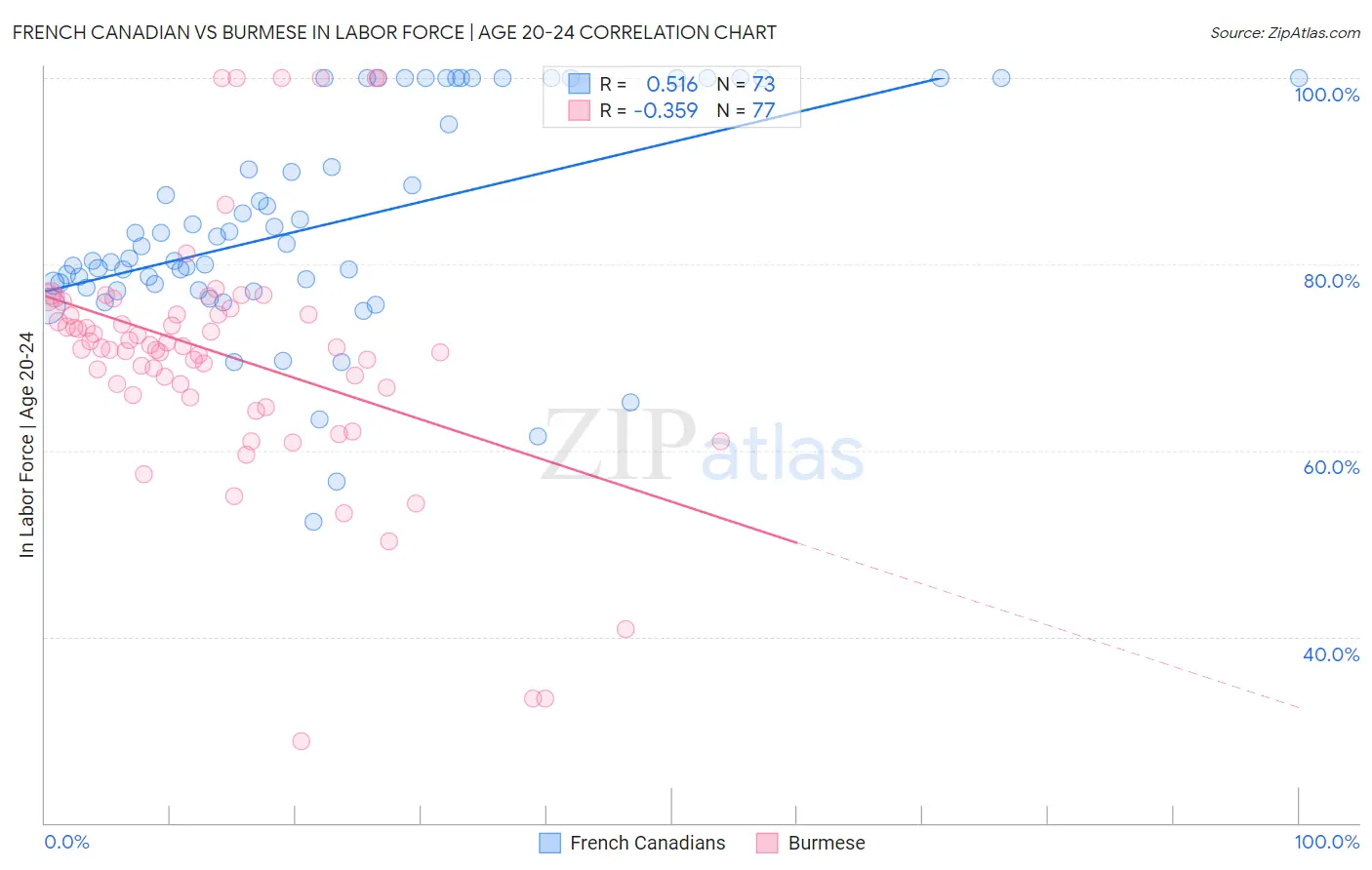 French Canadian vs Burmese In Labor Force | Age 20-24