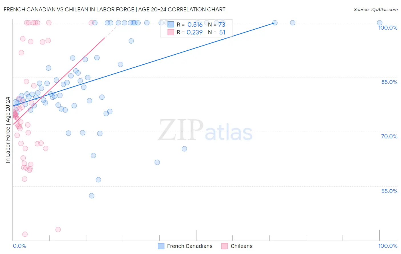 French Canadian vs Chilean In Labor Force | Age 20-24