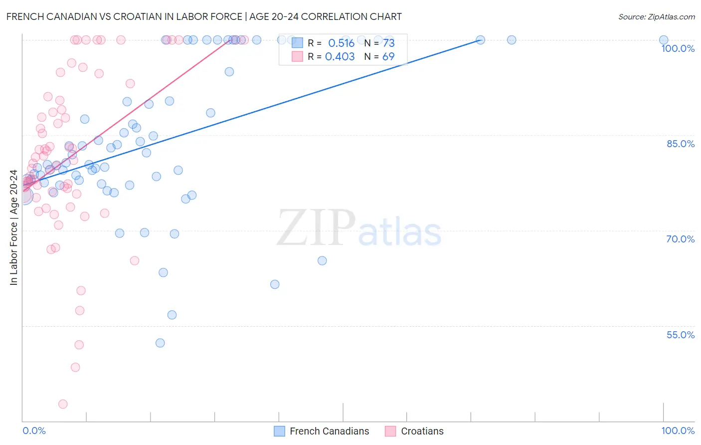 French Canadian vs Croatian In Labor Force | Age 20-24