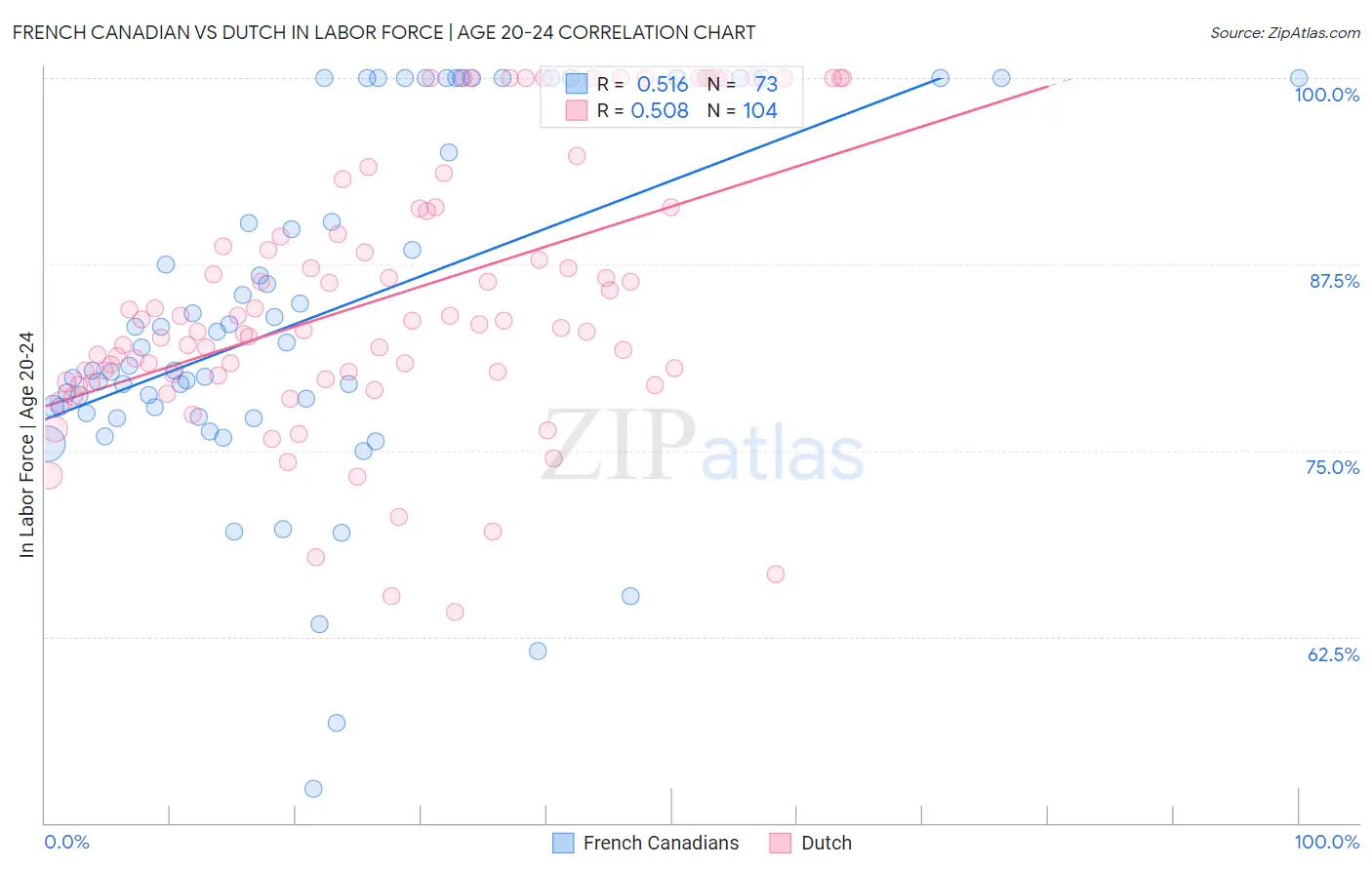 French Canadian vs Dutch In Labor Force | Age 20-24