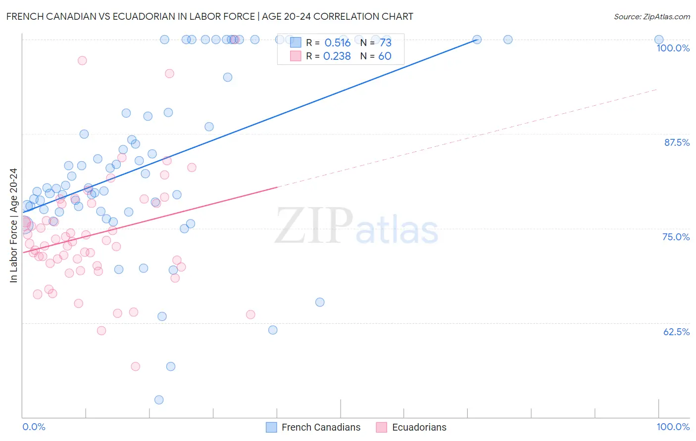 French Canadian vs Ecuadorian In Labor Force | Age 20-24