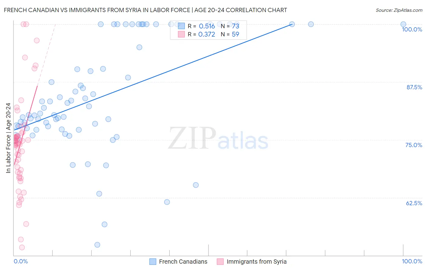 French Canadian vs Immigrants from Syria In Labor Force | Age 20-24