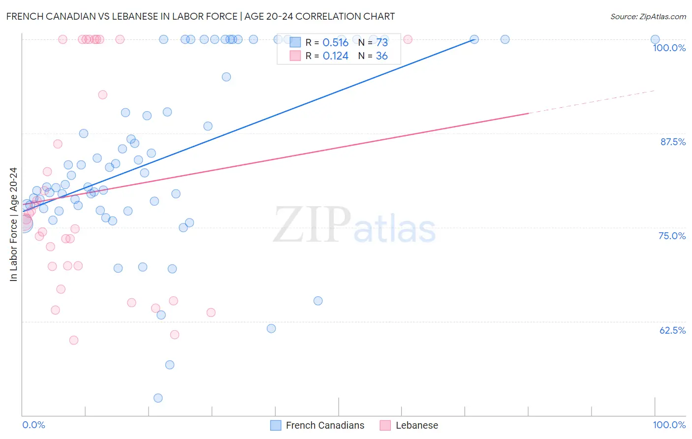 French Canadian vs Lebanese In Labor Force | Age 20-24