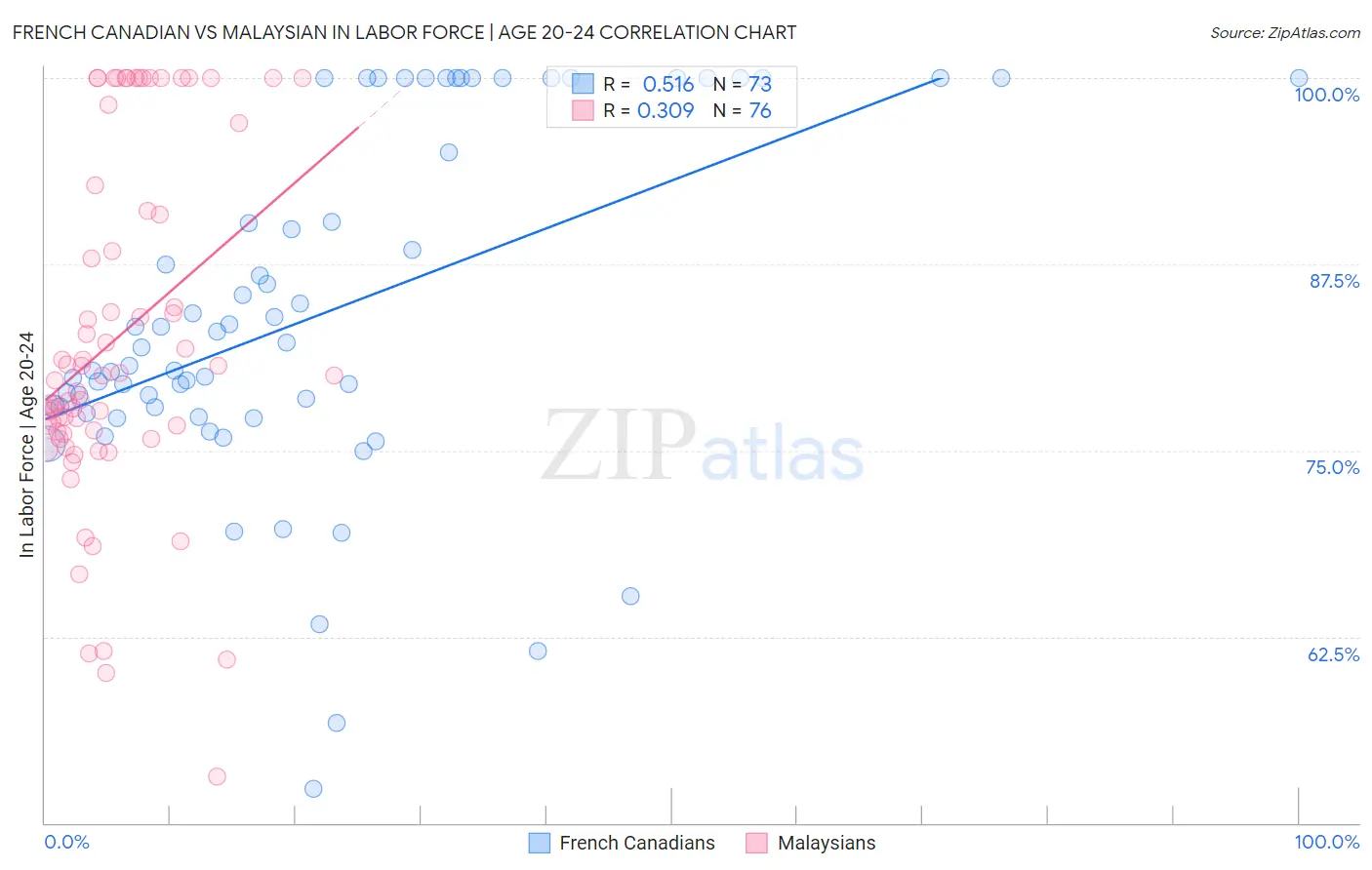 French Canadian vs Malaysian In Labor Force | Age 20-24