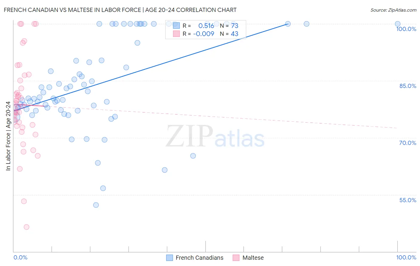 French Canadian vs Maltese In Labor Force | Age 20-24