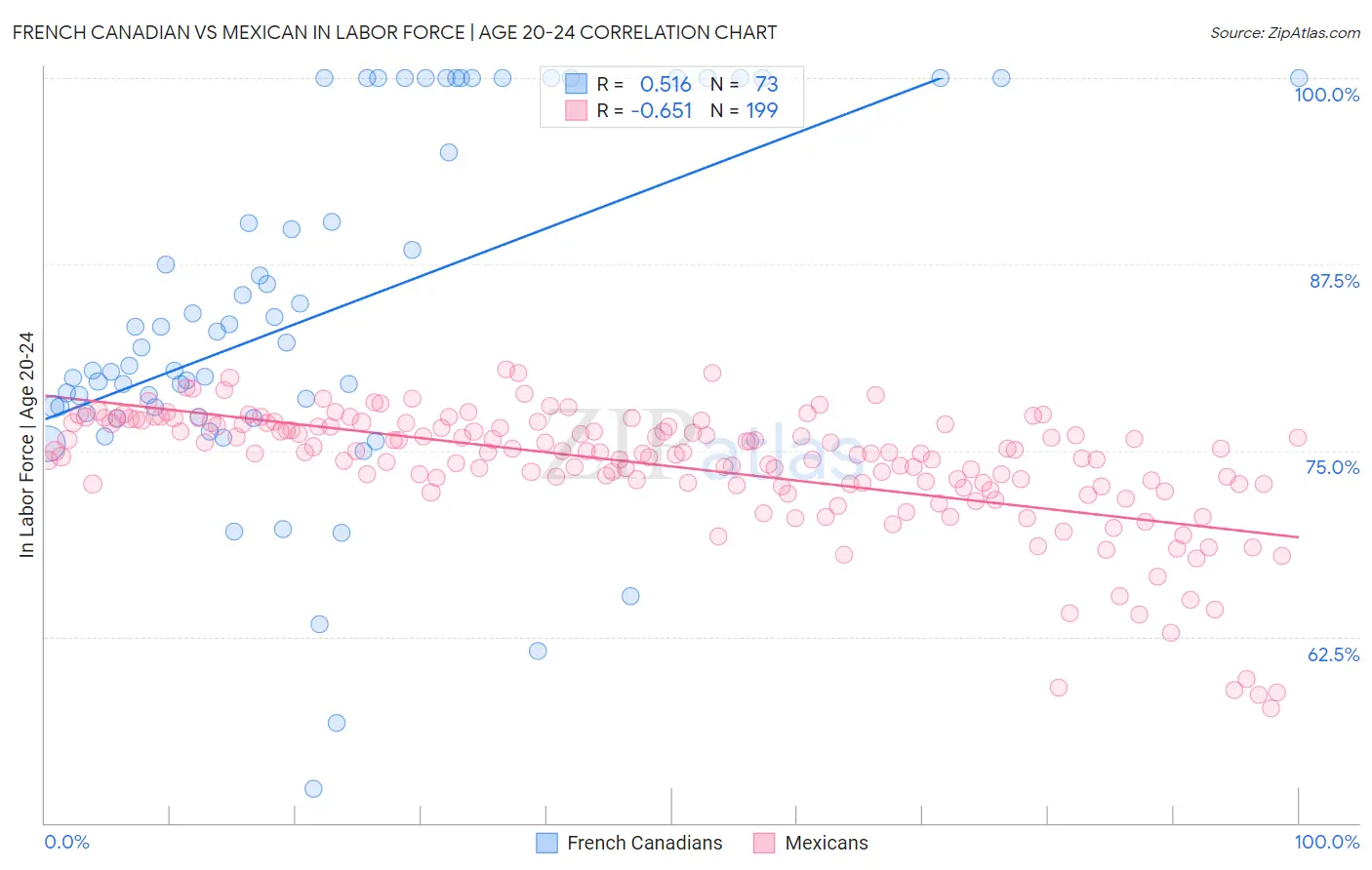 French Canadian vs Mexican In Labor Force | Age 20-24