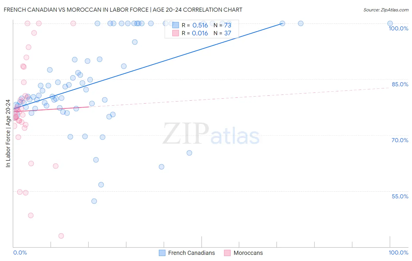French Canadian vs Moroccan In Labor Force | Age 20-24