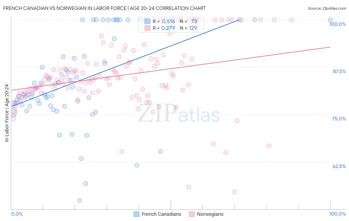 French Canadian vs Norwegian In Labor Force | Age 20-24