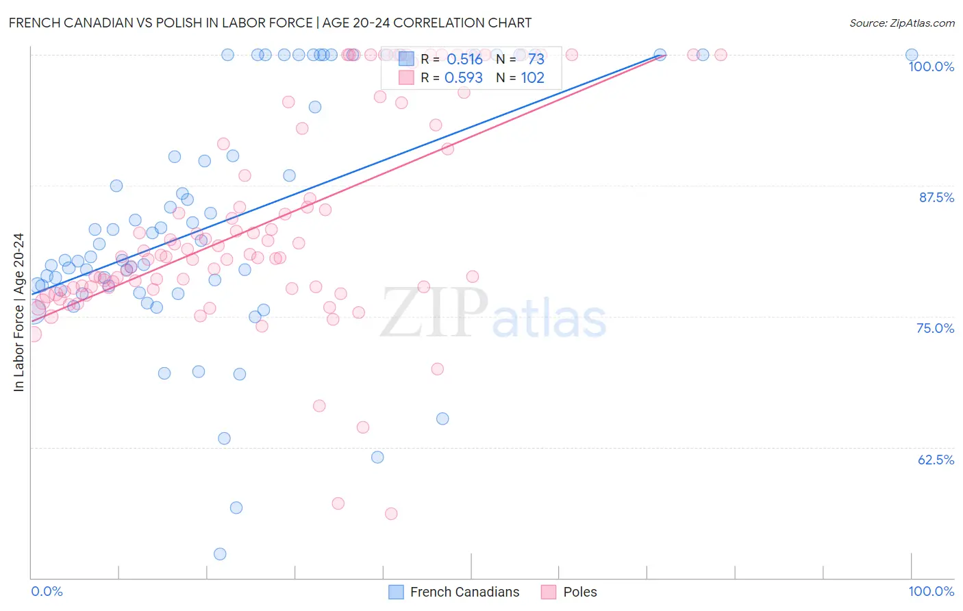 French Canadian vs Polish In Labor Force | Age 20-24