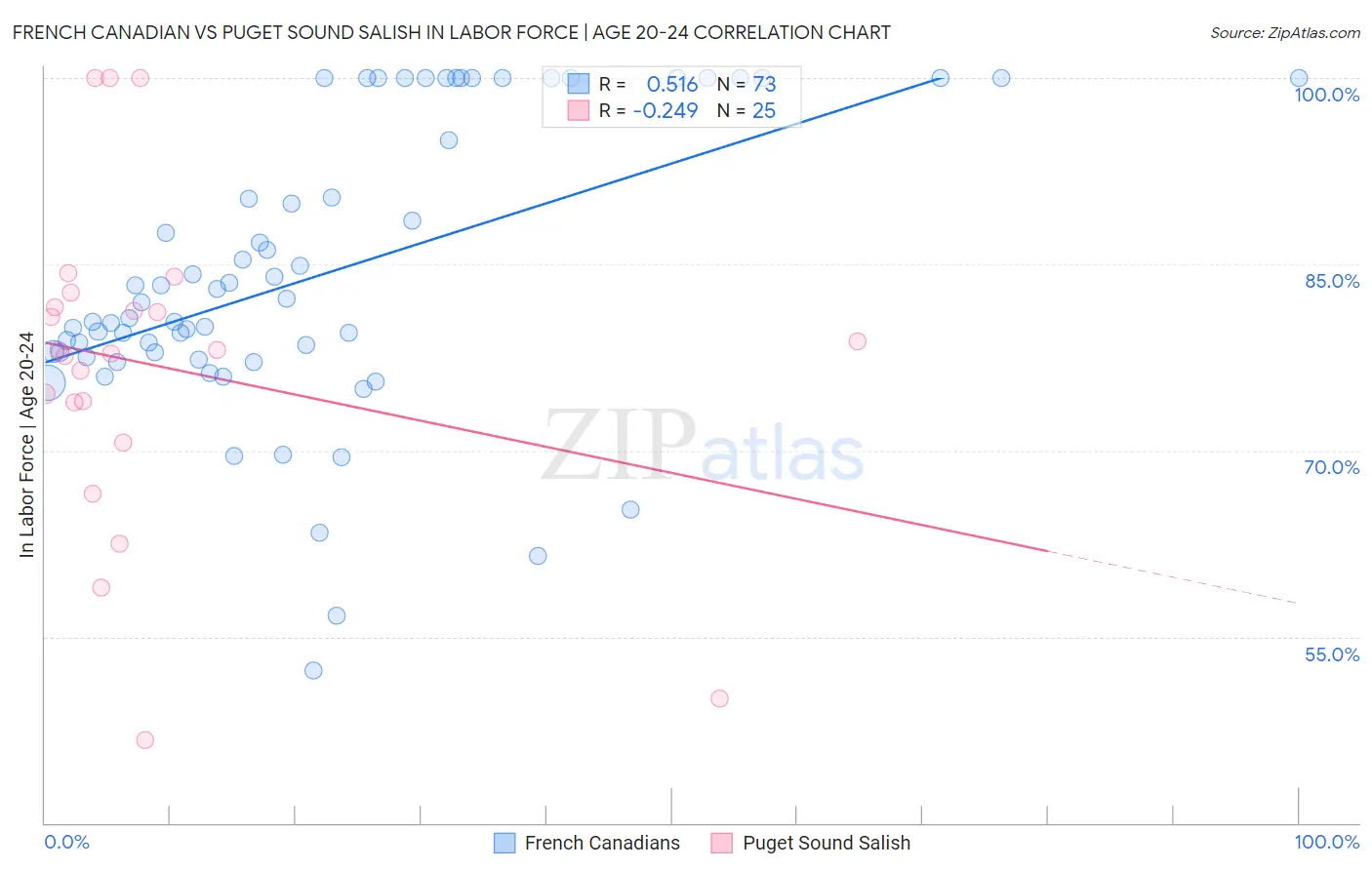 French Canadian vs Puget Sound Salish In Labor Force | Age 20-24