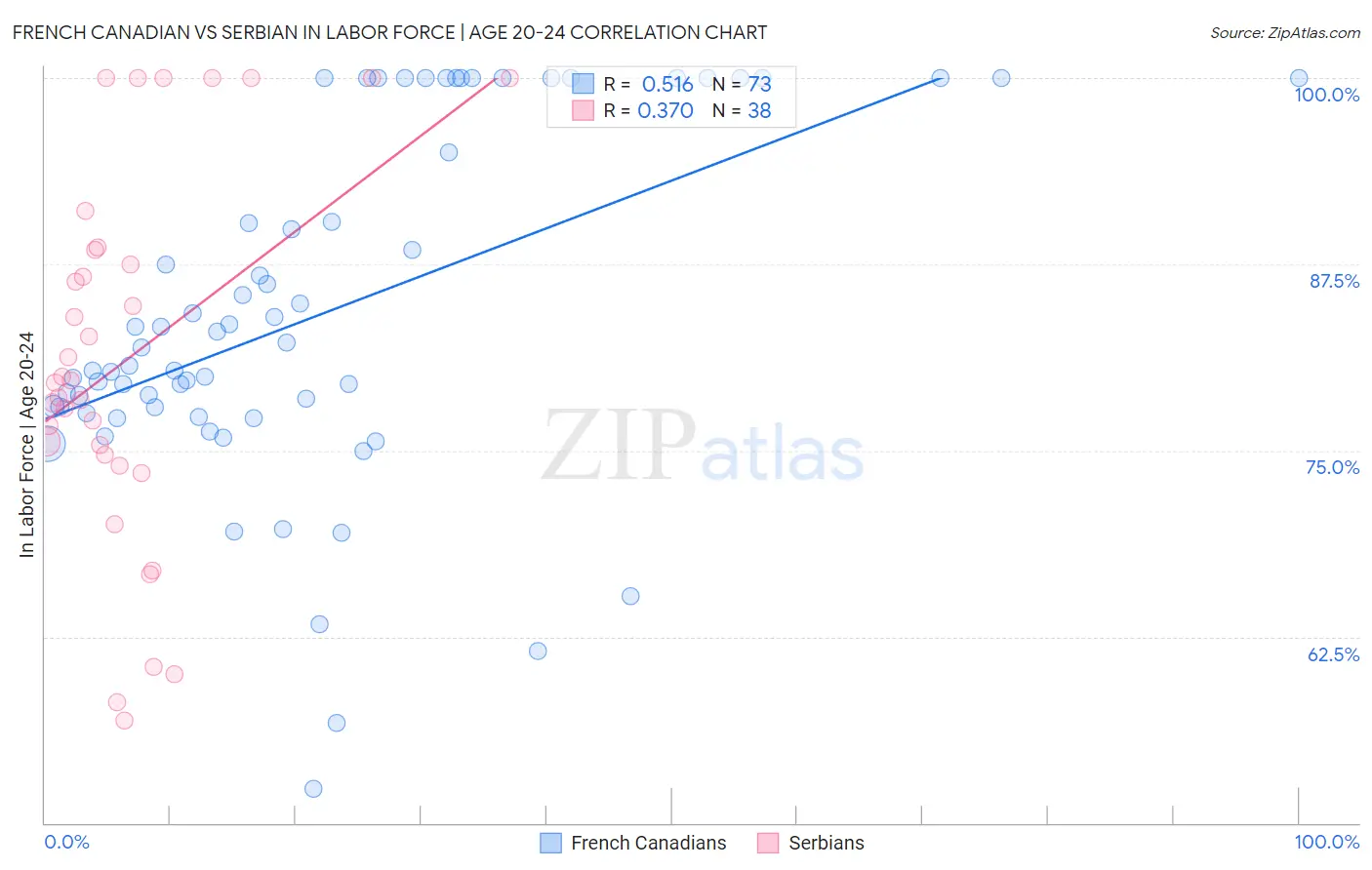 French Canadian vs Serbian In Labor Force | Age 20-24