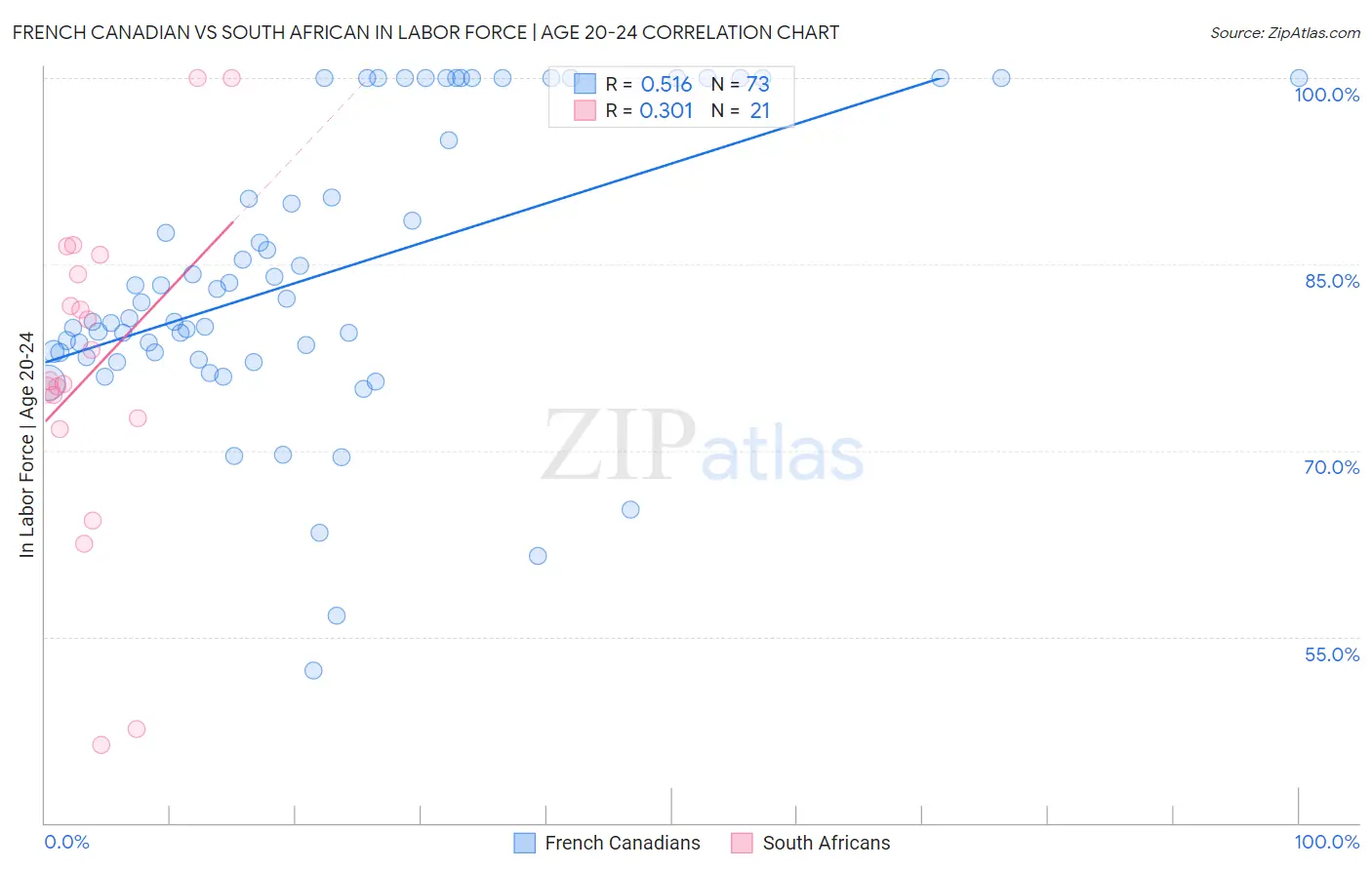 French Canadian vs South African In Labor Force | Age 20-24