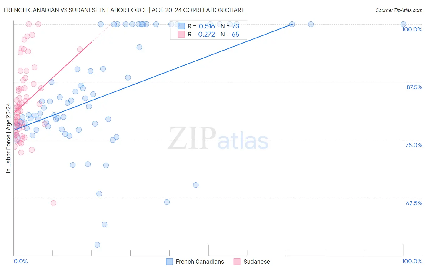 French Canadian vs Sudanese In Labor Force | Age 20-24