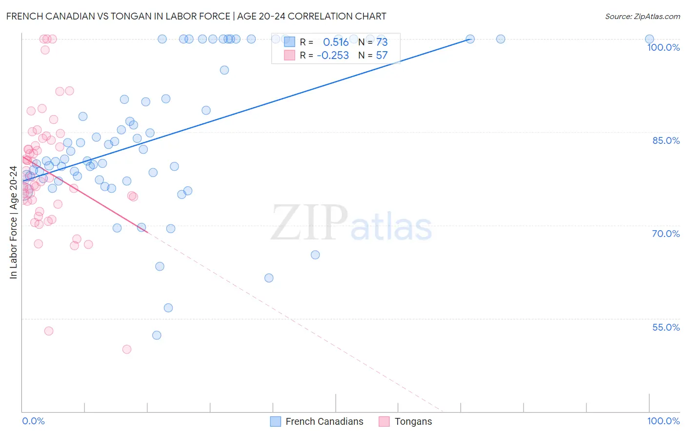 French Canadian vs Tongan In Labor Force | Age 20-24