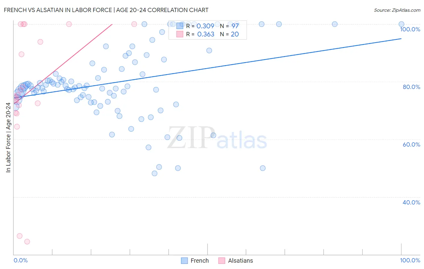 French vs Alsatian In Labor Force | Age 20-24