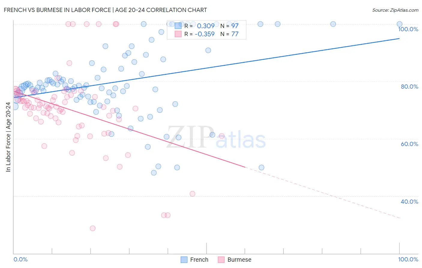 French vs Burmese In Labor Force | Age 20-24