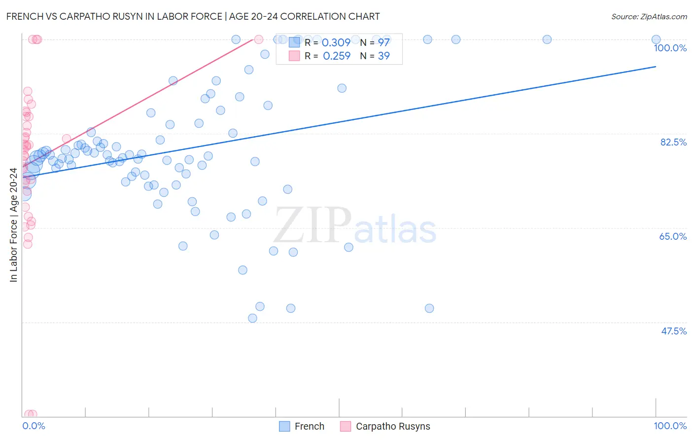 French vs Carpatho Rusyn In Labor Force | Age 20-24