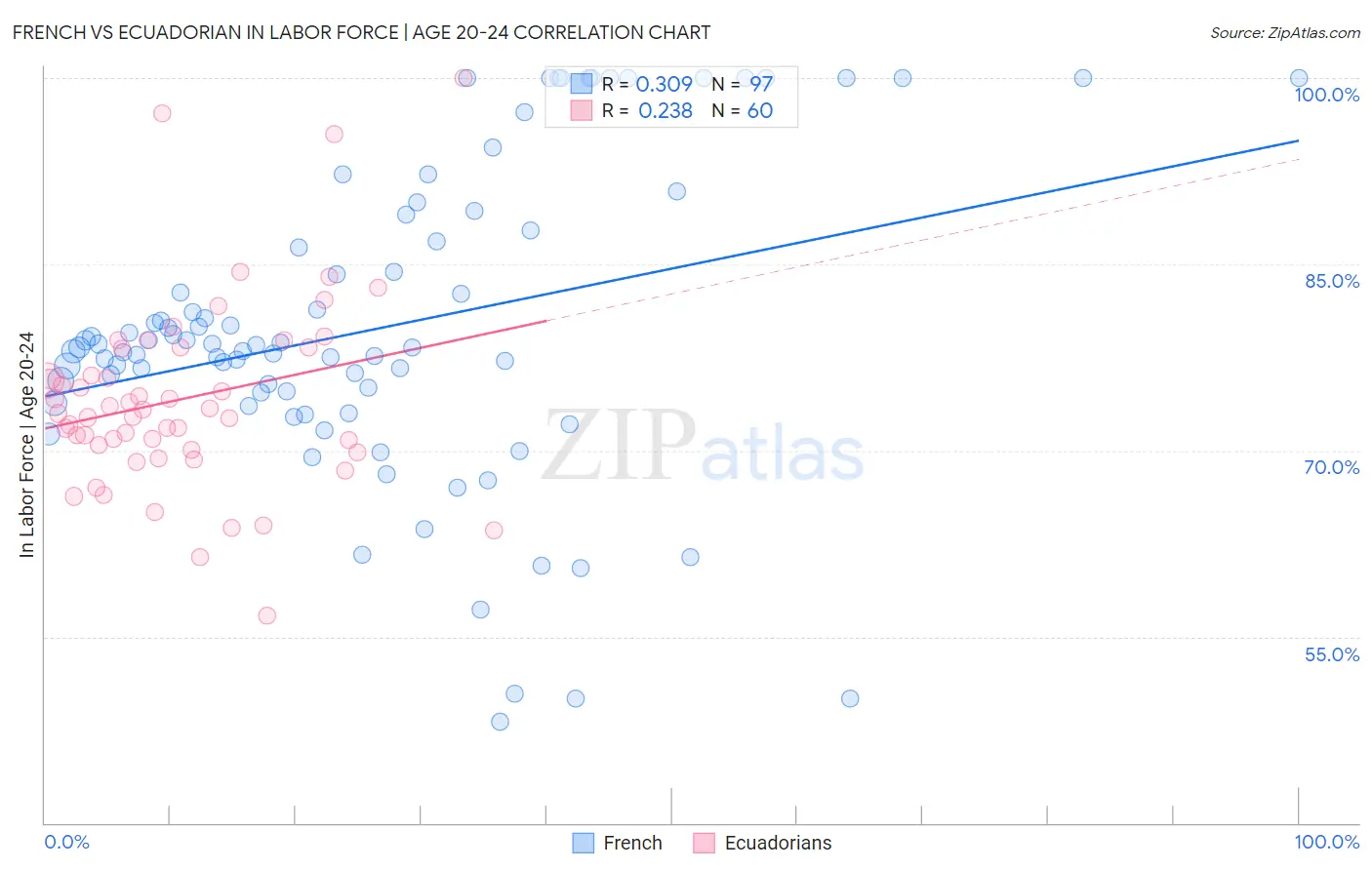 French vs Ecuadorian In Labor Force | Age 20-24