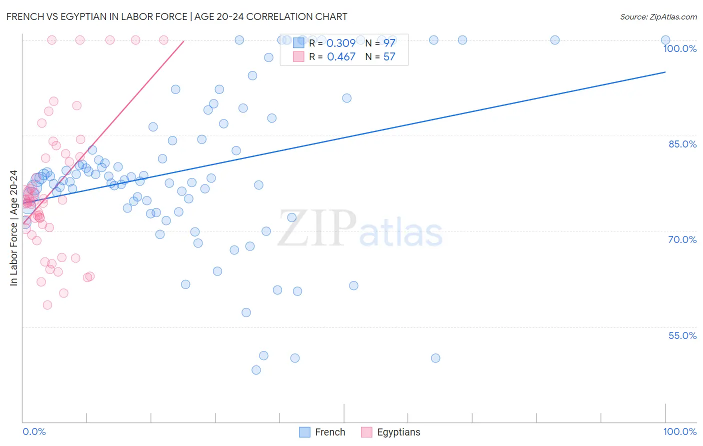 French vs Egyptian In Labor Force | Age 20-24