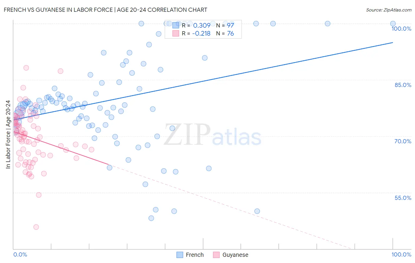 French vs Guyanese In Labor Force | Age 20-24