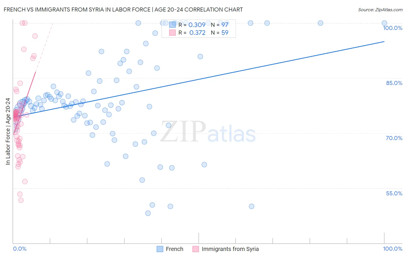 French vs Immigrants from Syria In Labor Force | Age 20-24