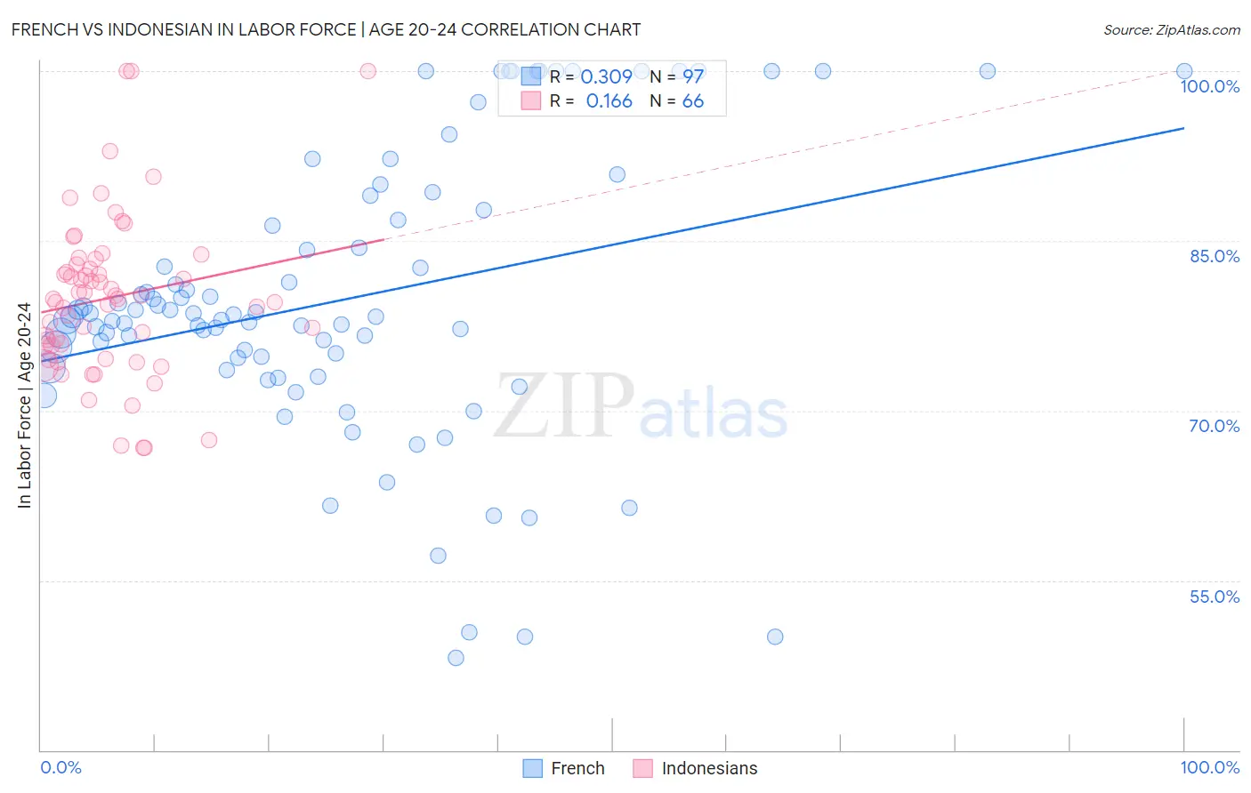French vs Indonesian In Labor Force | Age 20-24