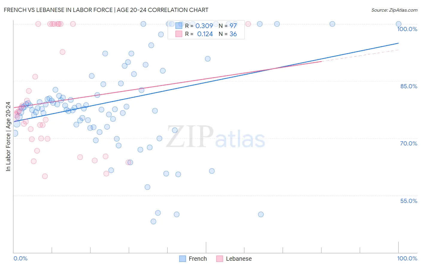 French vs Lebanese In Labor Force | Age 20-24