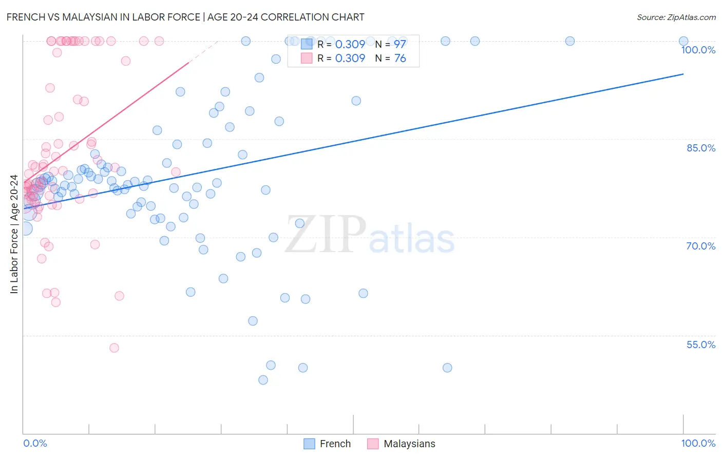 French vs Malaysian In Labor Force | Age 20-24