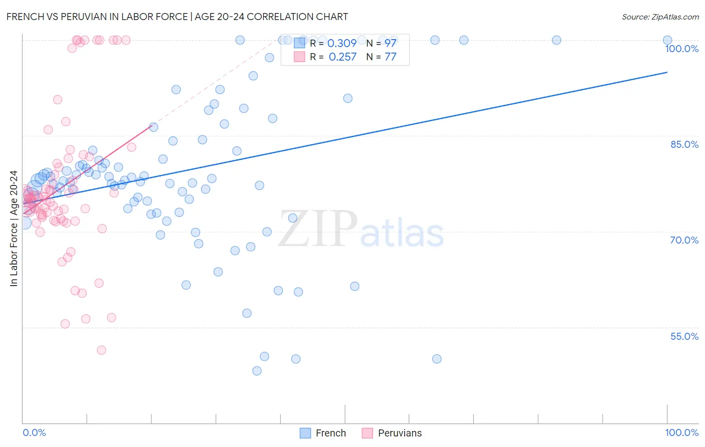 French vs Peruvian In Labor Force | Age 20-24