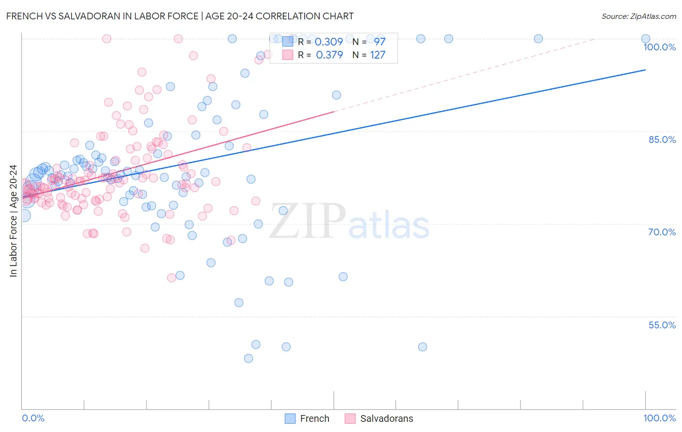 French vs Salvadoran In Labor Force | Age 20-24