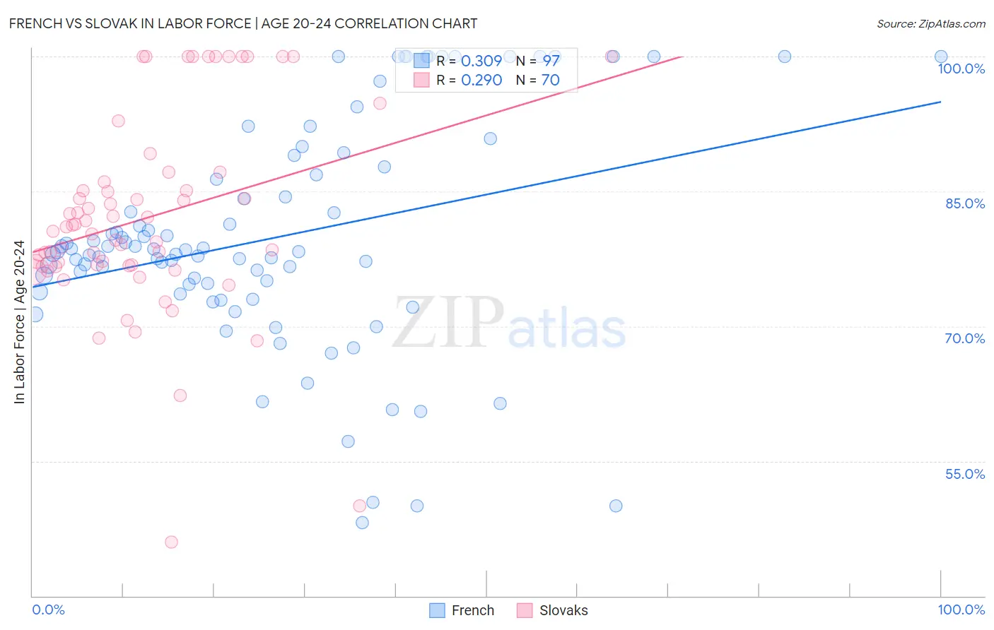 French vs Slovak In Labor Force | Age 20-24