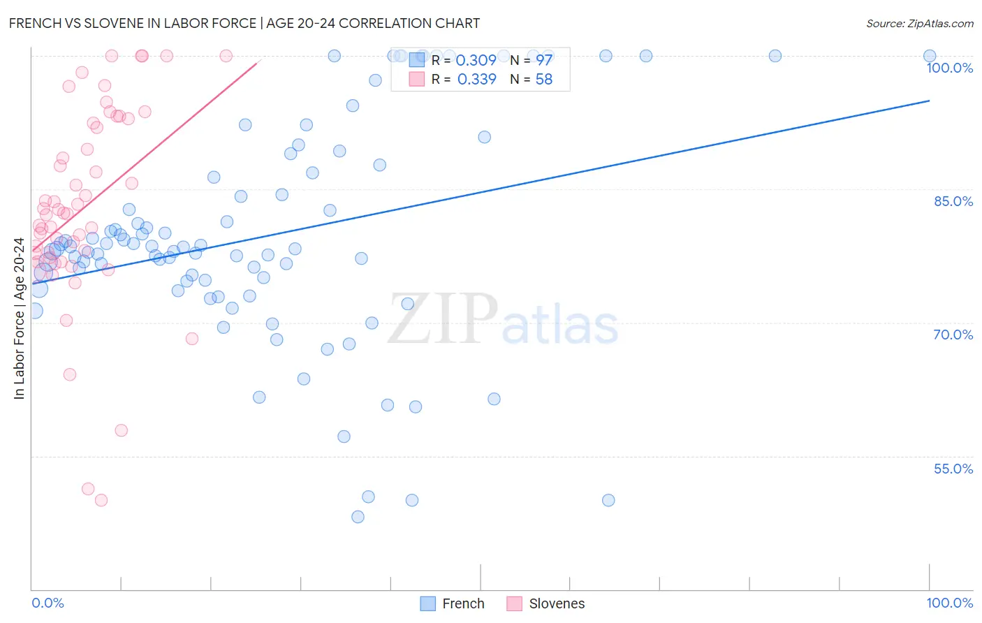 French vs Slovene In Labor Force | Age 20-24
