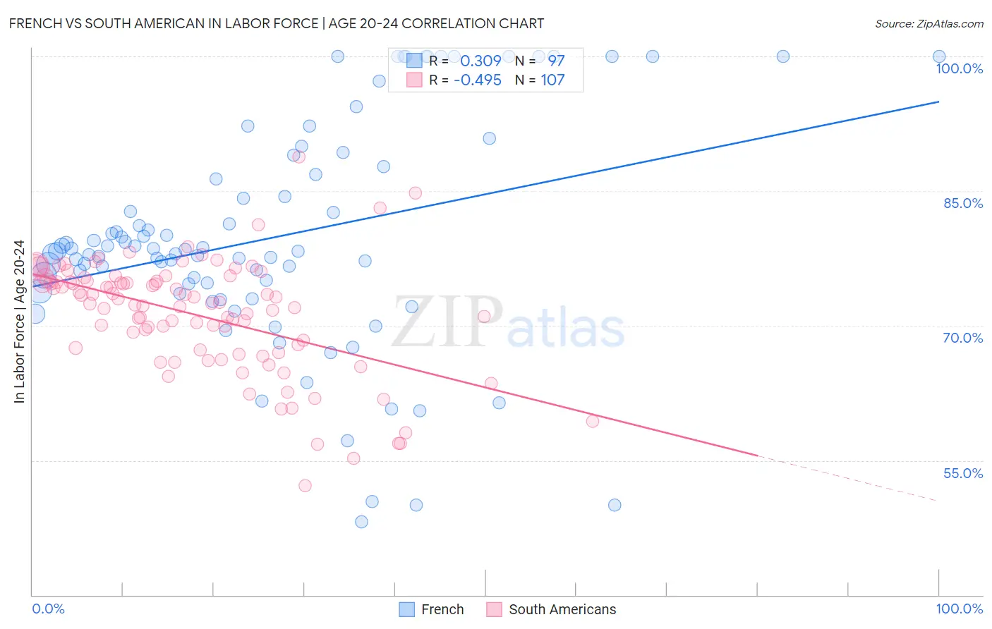 French vs South American In Labor Force | Age 20-24