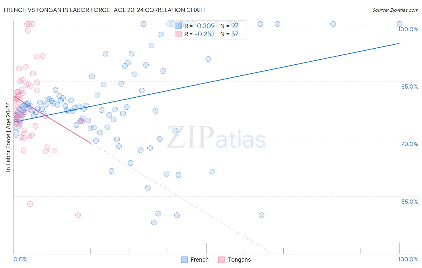 French vs Tongan In Labor Force | Age 20-24