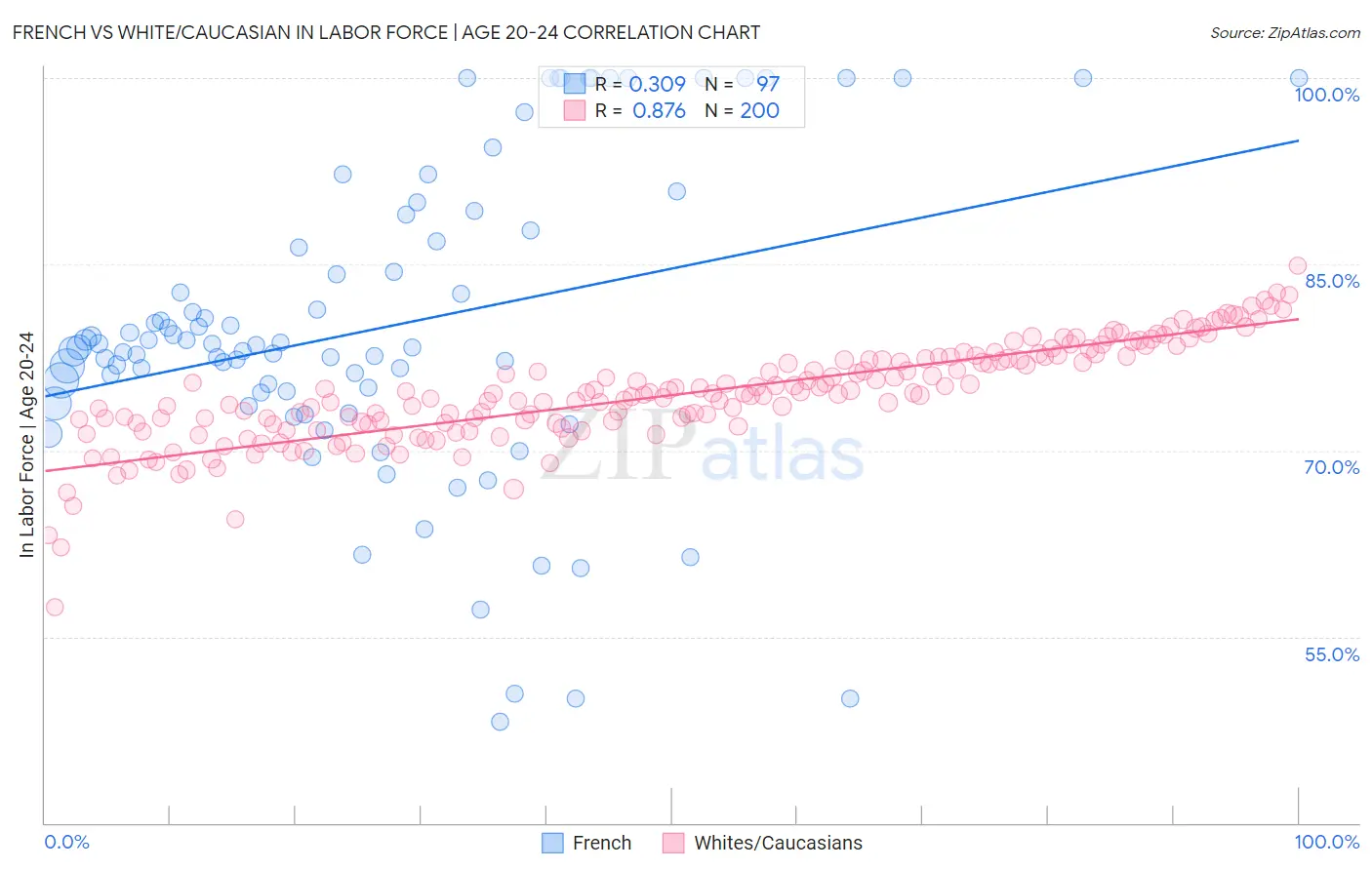 French vs White/Caucasian In Labor Force | Age 20-24
