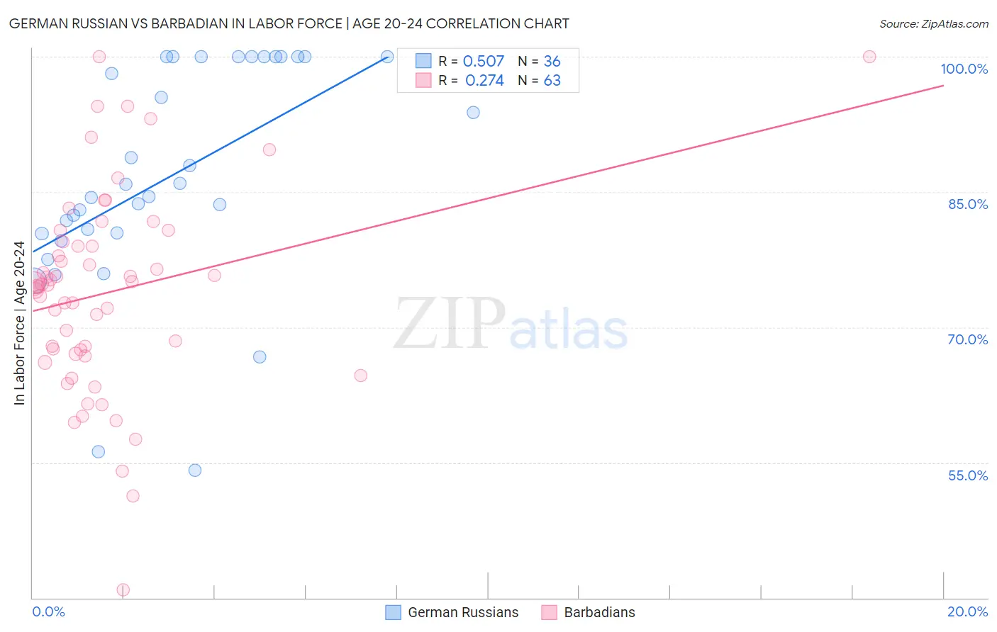 German Russian vs Barbadian In Labor Force | Age 20-24