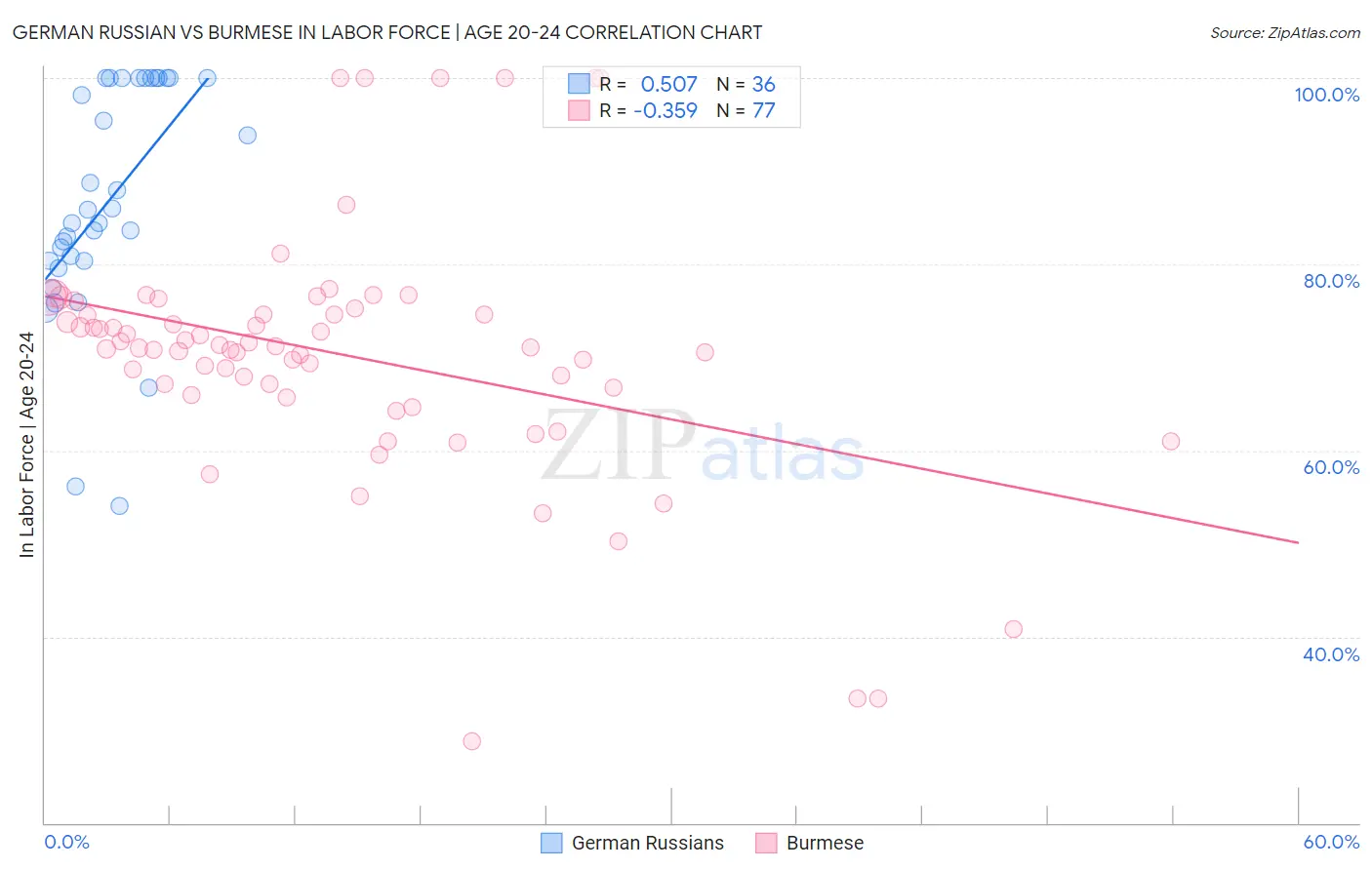 German Russian vs Burmese In Labor Force | Age 20-24