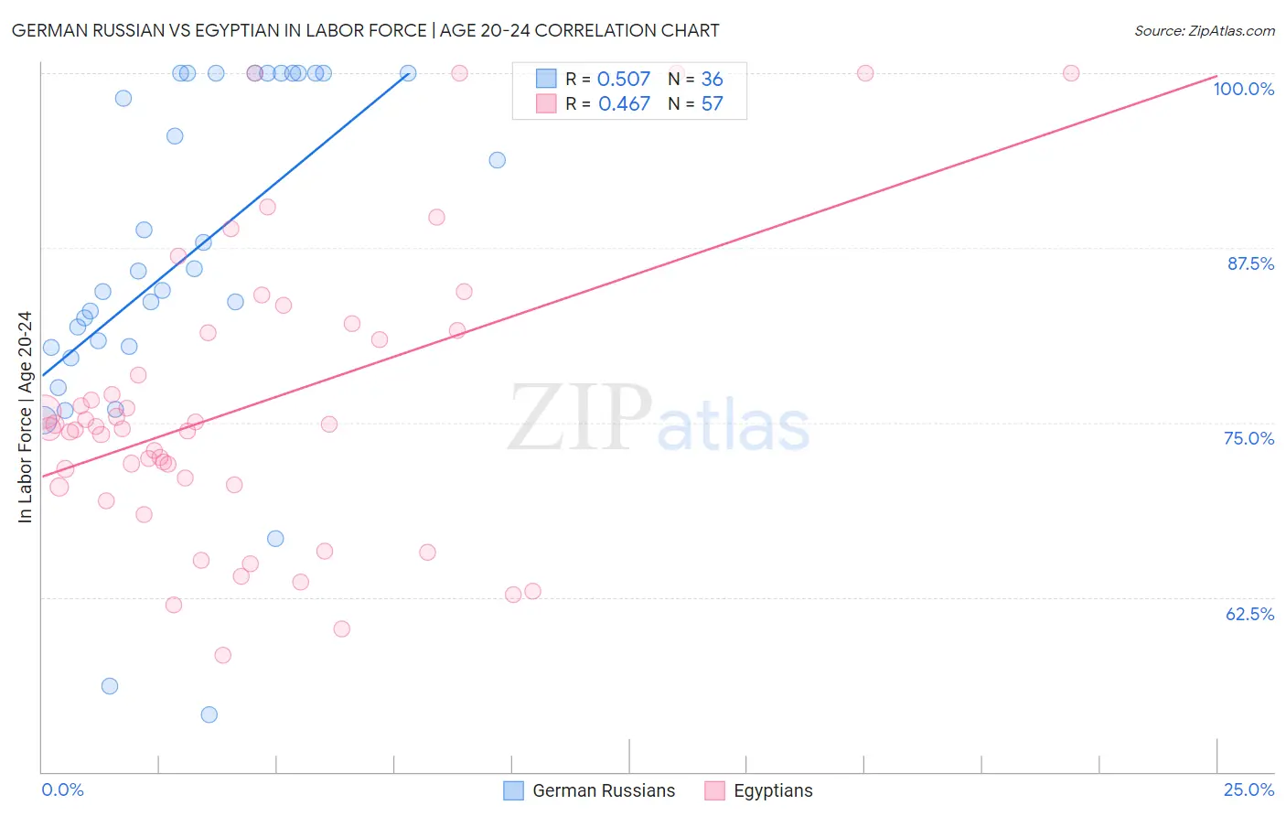 German Russian vs Egyptian In Labor Force | Age 20-24