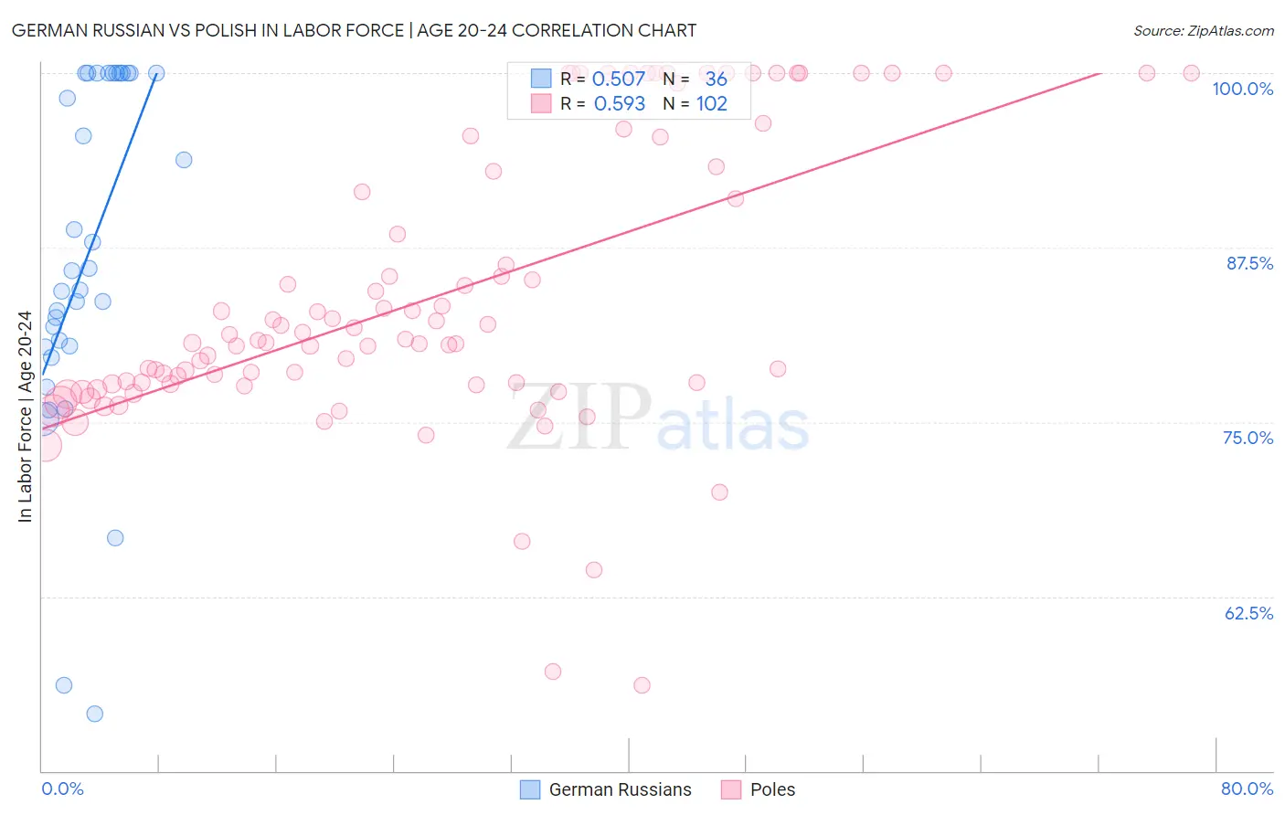 German Russian vs Polish In Labor Force | Age 20-24