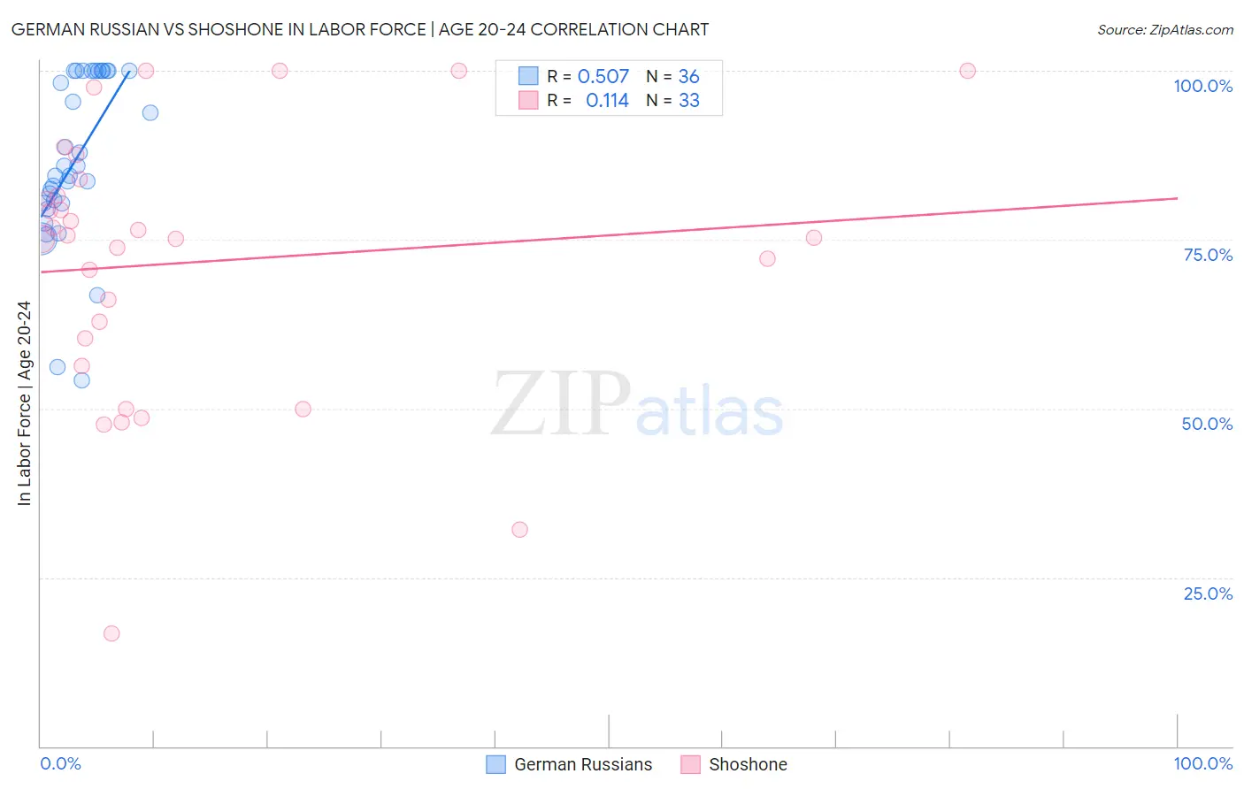 German Russian vs Shoshone In Labor Force | Age 20-24