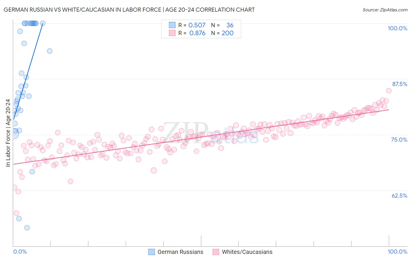 German Russian vs White/Caucasian In Labor Force | Age 20-24