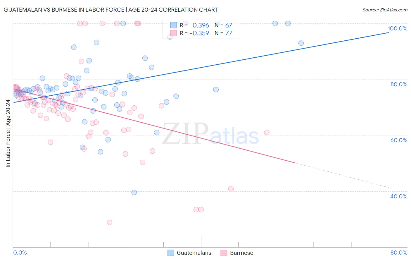 Guatemalan vs Burmese In Labor Force | Age 20-24