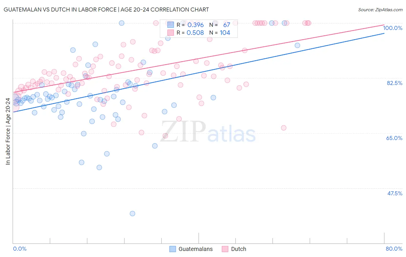 Guatemalan vs Dutch In Labor Force | Age 20-24