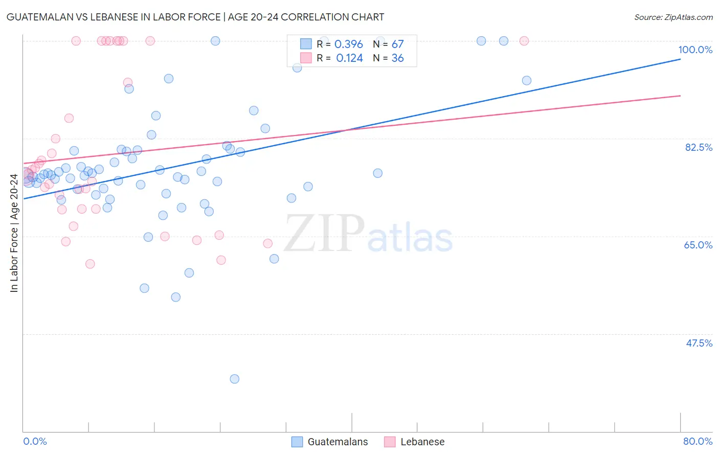 Guatemalan vs Lebanese In Labor Force | Age 20-24