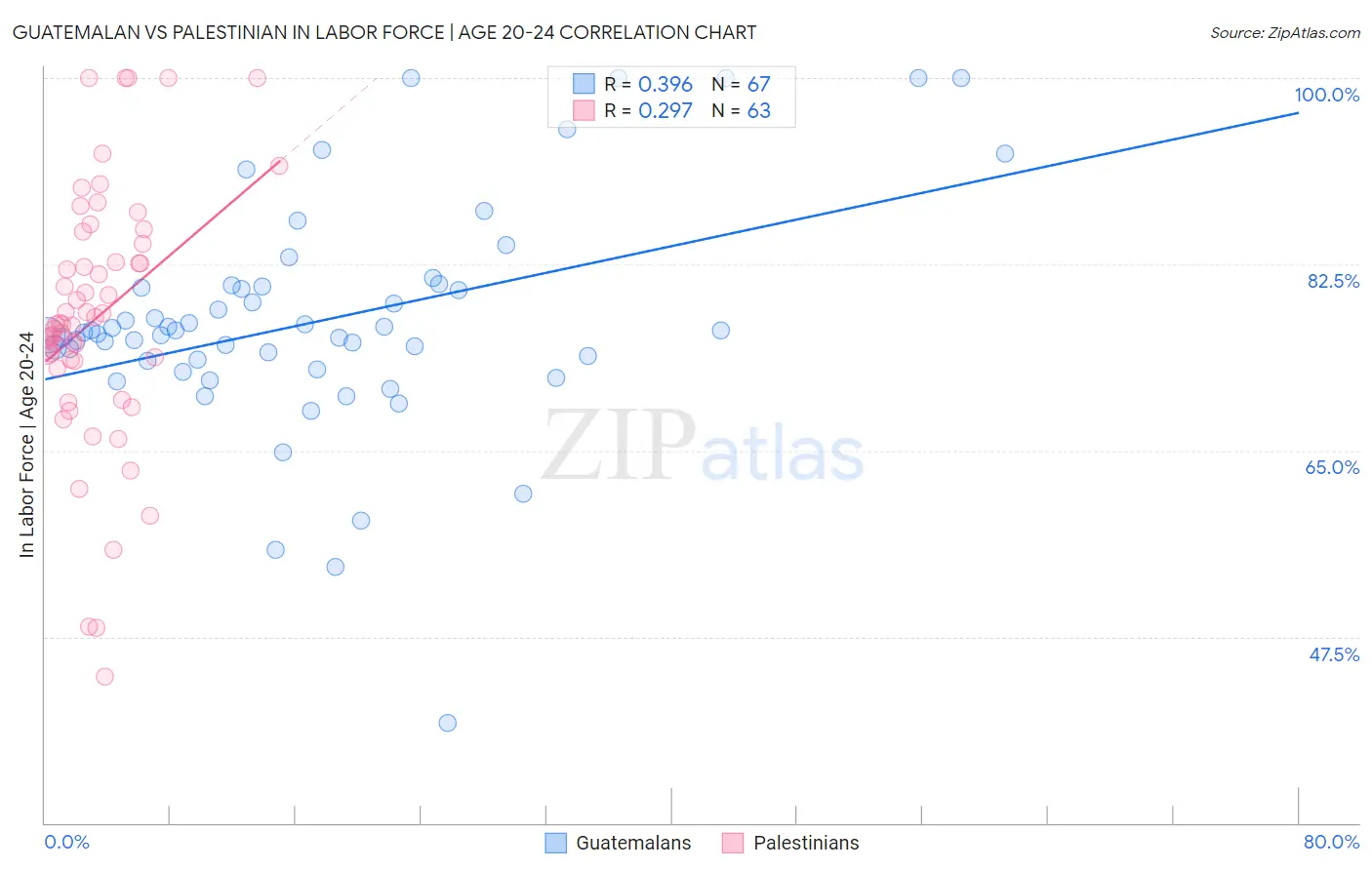 Guatemalan vs Palestinian In Labor Force | Age 20-24