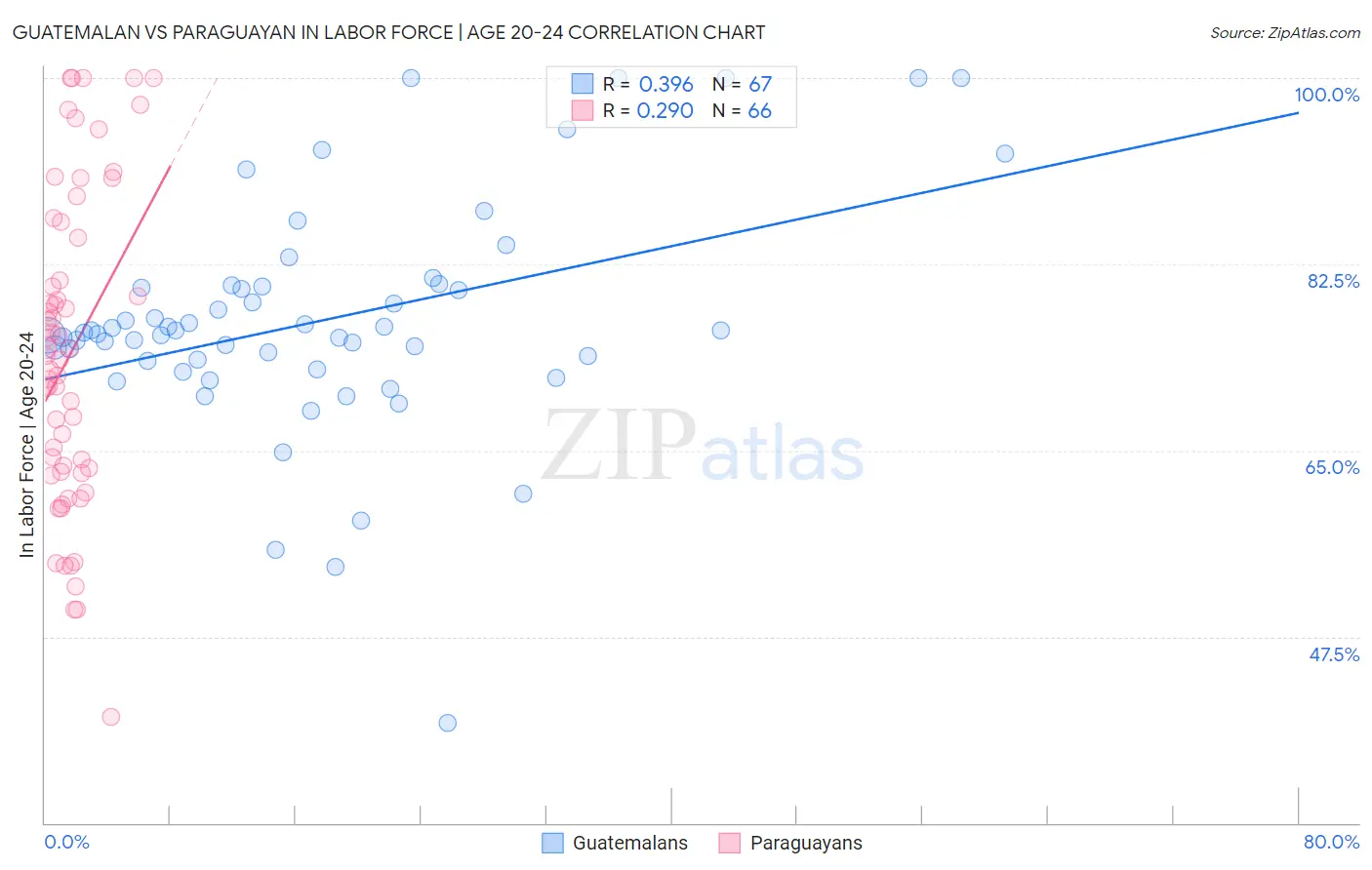 Guatemalan vs Paraguayan In Labor Force | Age 20-24