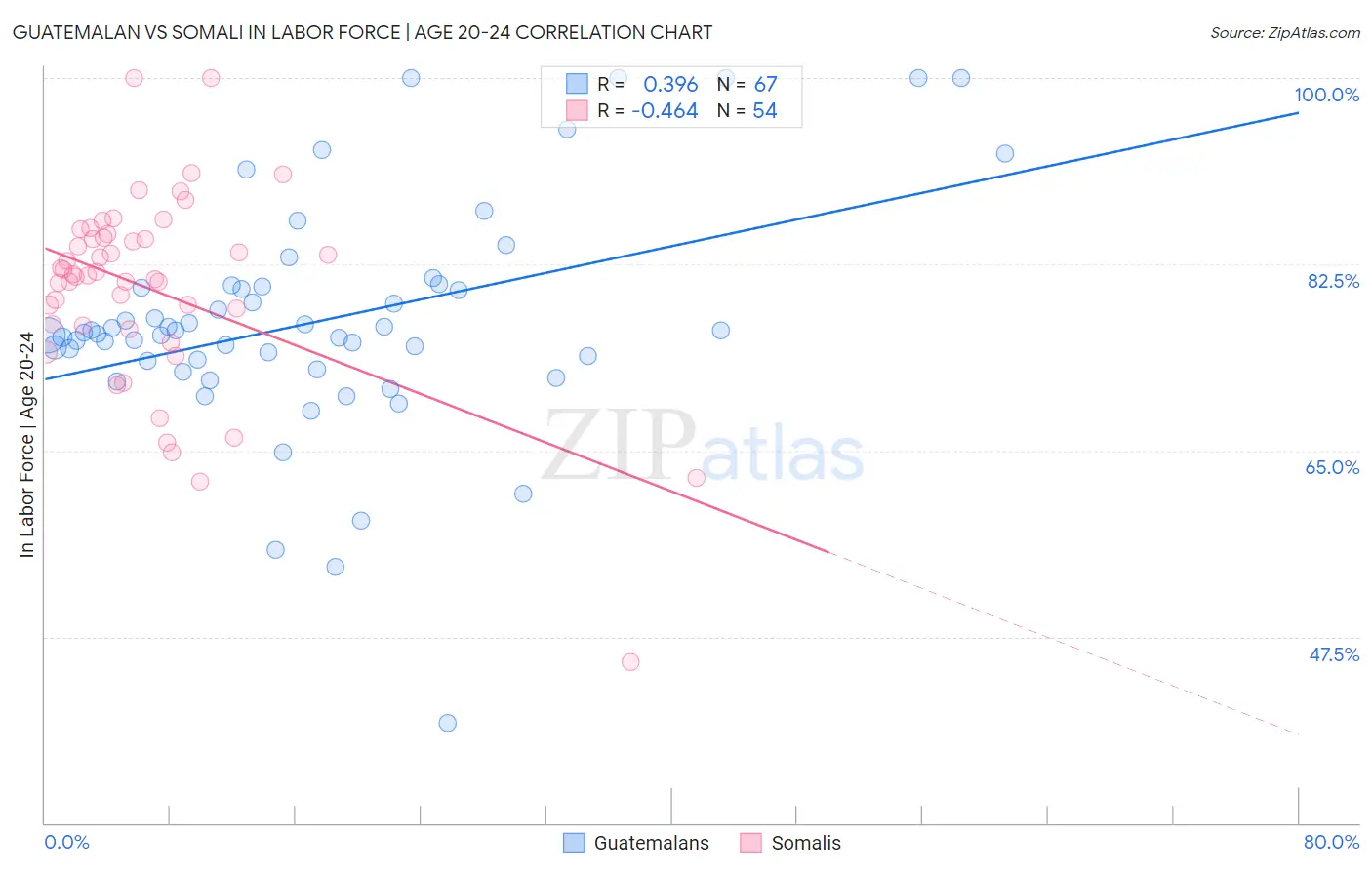 Guatemalan vs Somali In Labor Force | Age 20-24